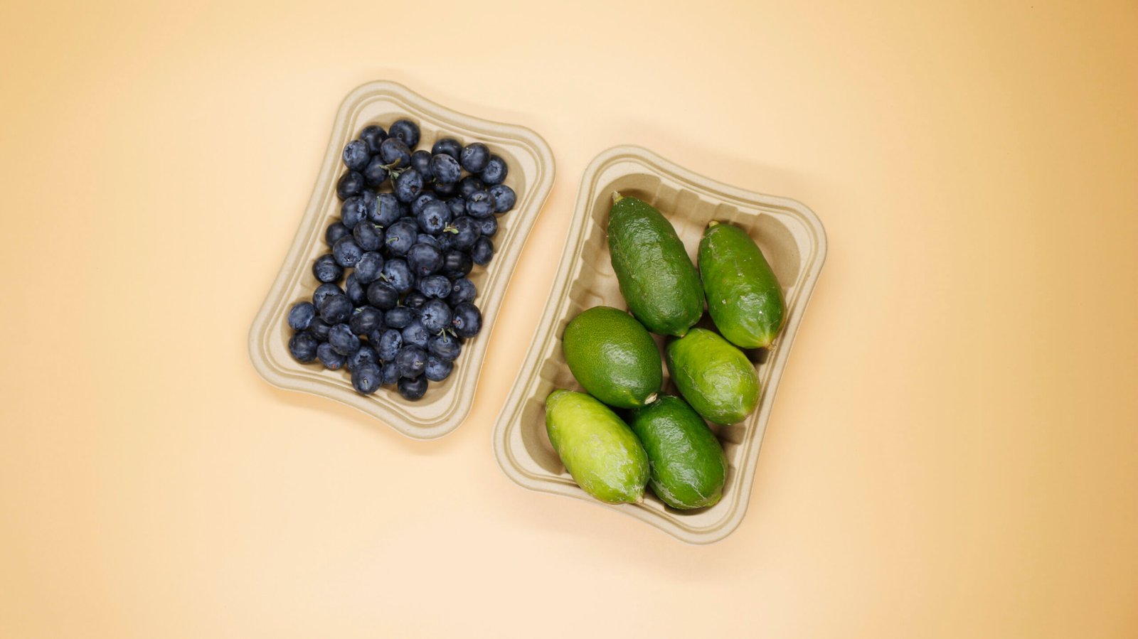 Bamboo pulp tray