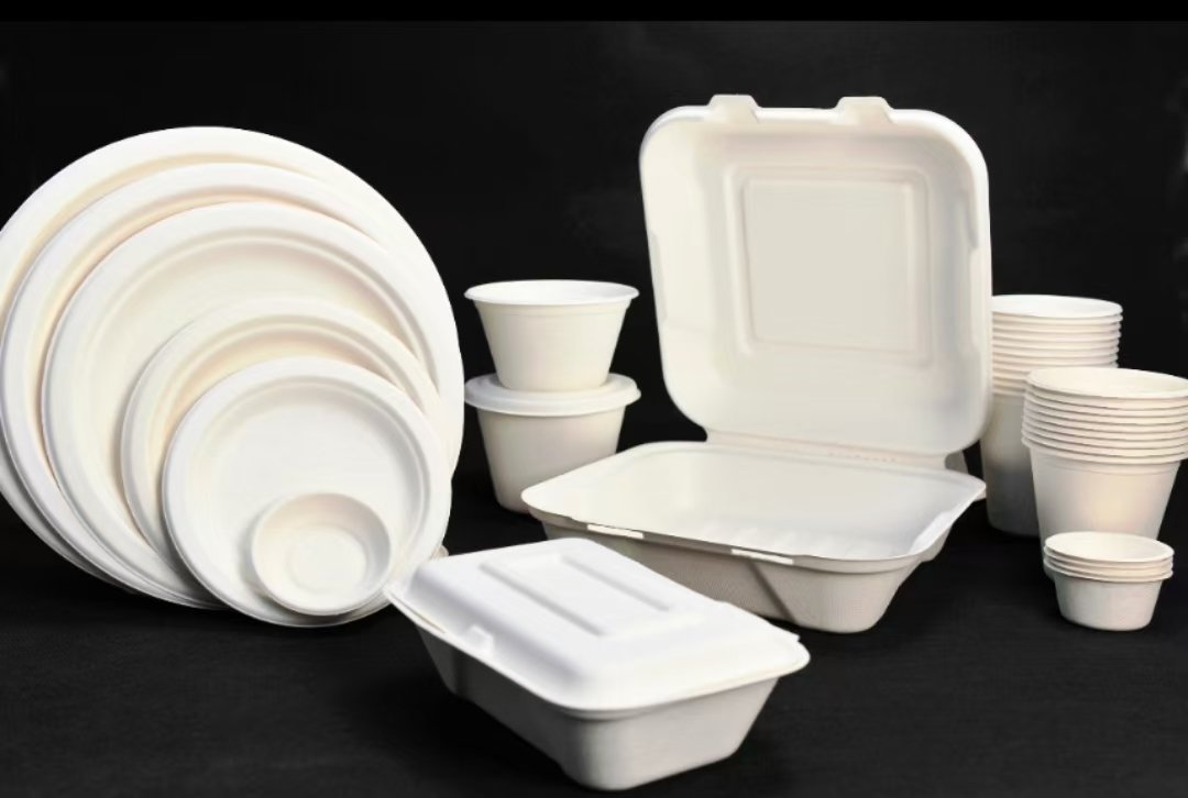 Bamboo pulp tray